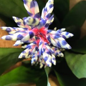 Meet your Posher, Mj